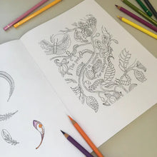 Cargar imagen en el visor de la galería, Libro para colorear Veronicas`s Garden : El Jardín de Verónica