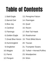 Cargar imagen en el visor de la galería, Libro para colorear Aves Preciosas (Beautiful Birds)