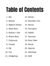 Cargar imagen en el visor de la galería, Libro para colorear Animales del Bosque (Woodland Animals)