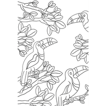 Cargar imagen en el visor de la galería, Postales para colorear (26 unidades ) ANIMALES