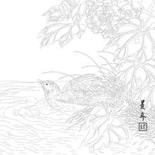 Cargar imagen en el visor de la galería, Libro para colorear para calmar el alma: "to Soothe the soul"- Meditaciones sobre el té.