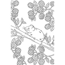 Cargar imagen en el visor de la galería, Postales para colorear (26 unidades ) VIDA SILVESTRE