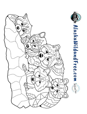 Libro para colorear Animales Bebés  (Baby Animals)