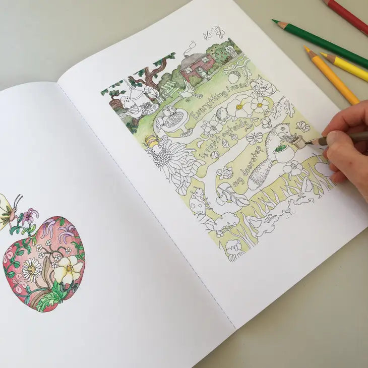 Libro para colorear Veronicas`s Garden : El Jardín de Verónica